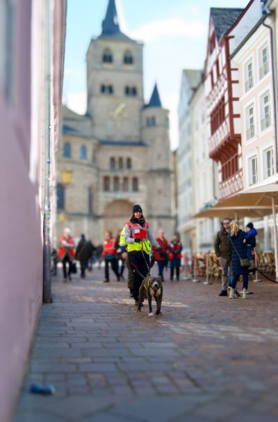 Mantrail-Urlaub Trier