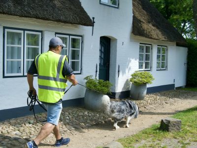 Mensch-Hund-Team bei der Personensuche