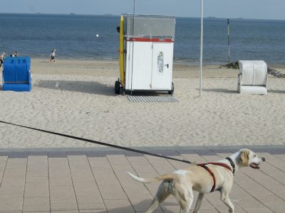 Personensuche am Strand